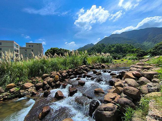 牌桌意外：因出牌缓慢遭遇“飞来横祸”